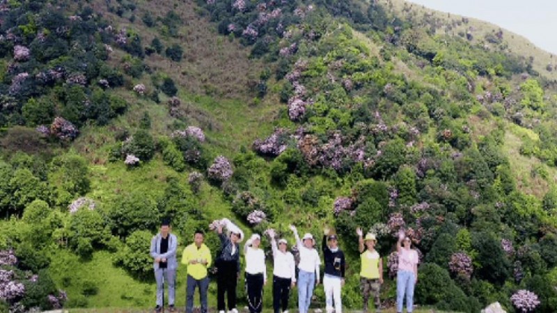 不到鸡笼顶，枉为广东人！原来，中国绝美的高山草原杜鹃花海在这里