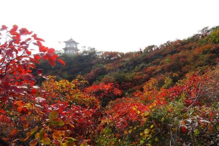 北京赏红叶十大绝佳去处