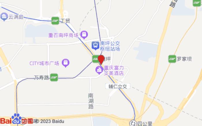 重庆开元名庭酒店(南岸区南坪万达广场店)