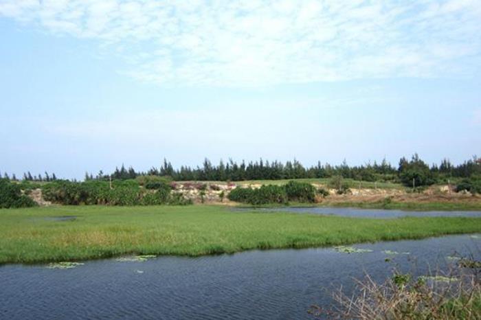 西海岸海尾湿地公园