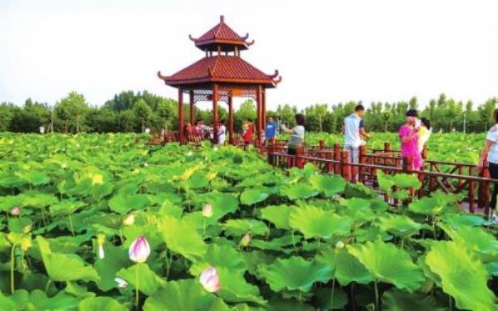 荷花温泉