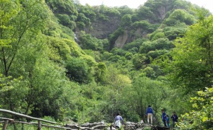 宝鸡药王谷景区