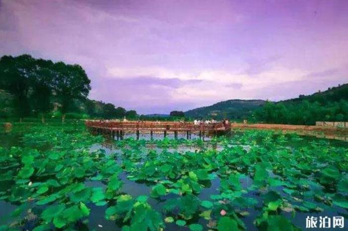 印象义渠莲花池生态旅游区