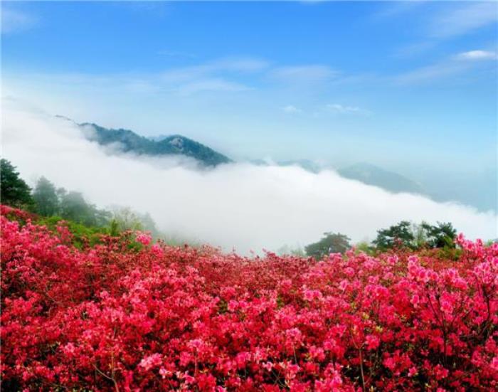 麻城龟峰山景区