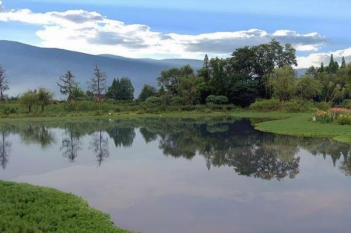 桤木河湿地公园