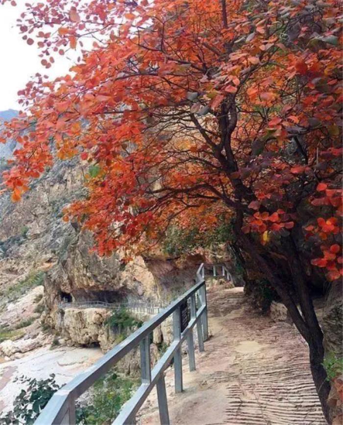 咸阳郑国渠风景区