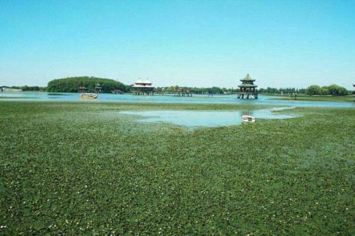 五里湖生态湿地公园