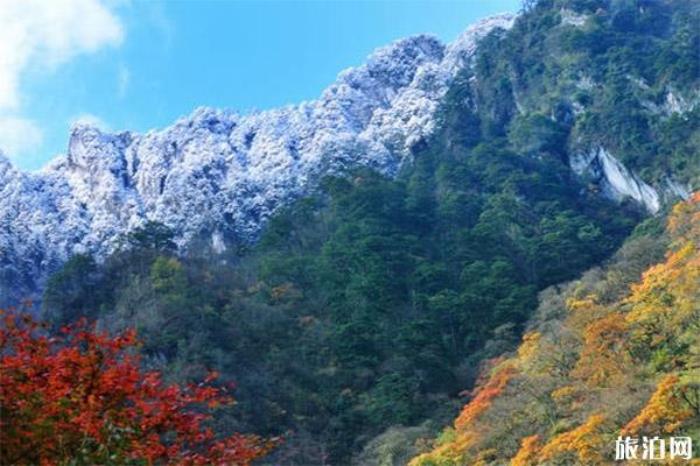 雅安东拉山大峡谷