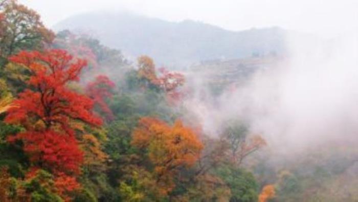 瑶里景区