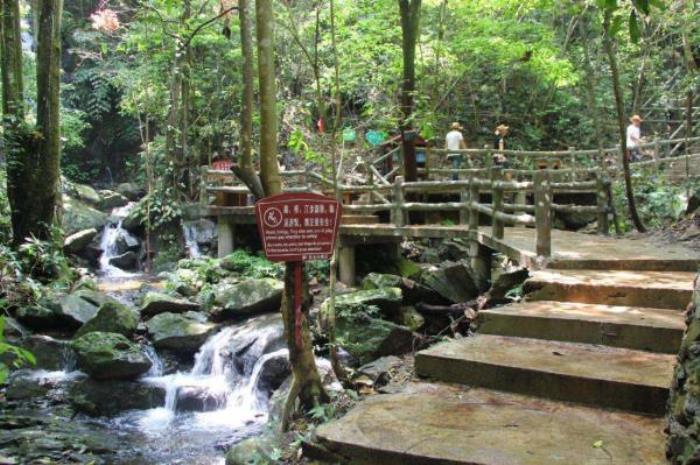 融水双龙沟原始森林景区