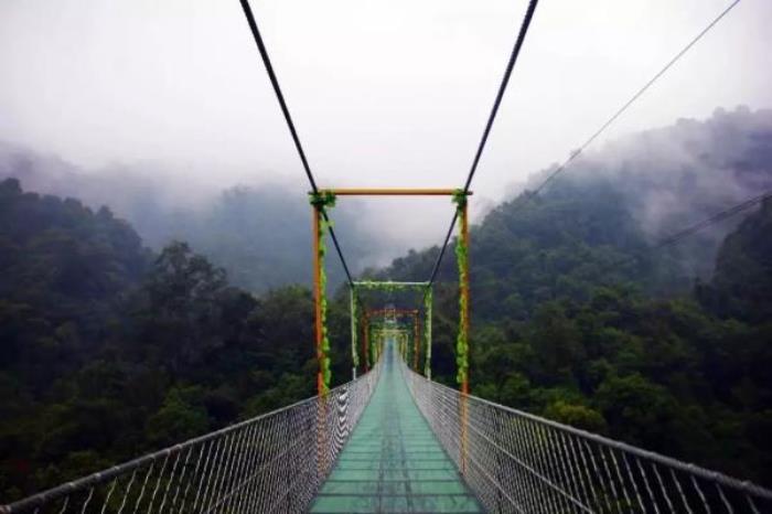 融水双龙沟原始森林景区