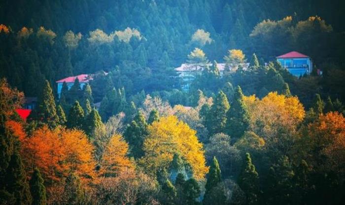 庐山风景区