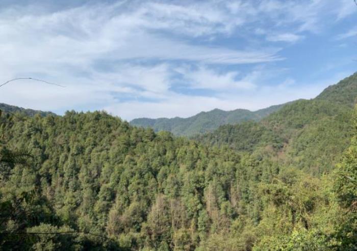 浏阳皇龙峡景区