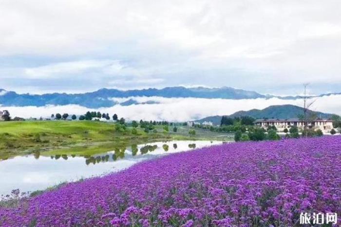 栖花岭景区