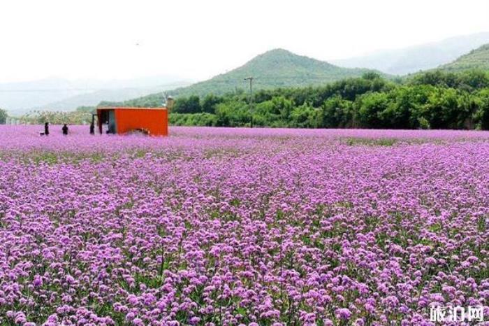 栖花岭景区