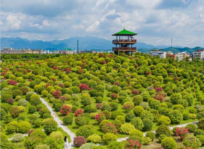 千花洲旅游度假区