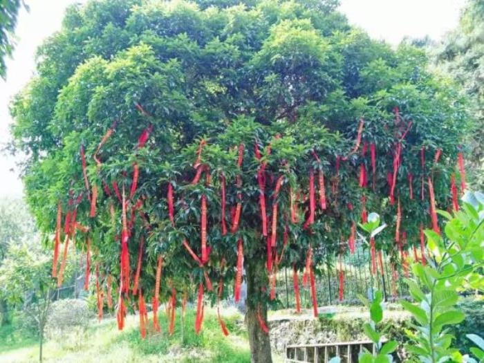 郴州龙女温泉