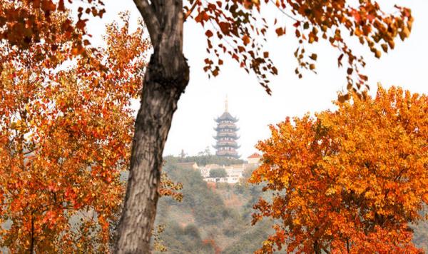 香山景区