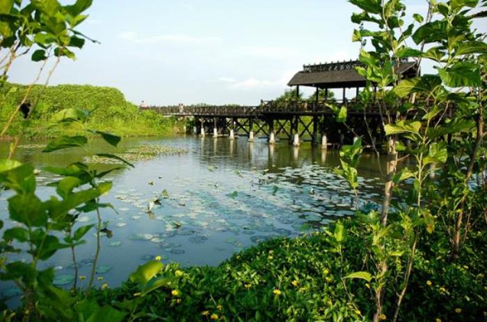 深圳海上田园