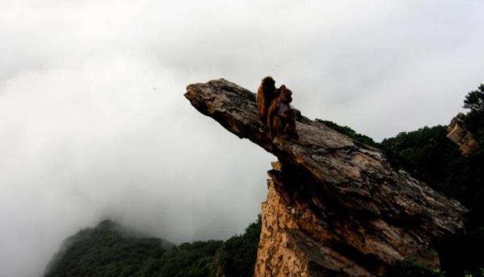 连云港花果山