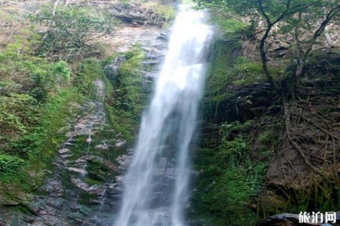 云南瑞丽莫里热带雨林风景区