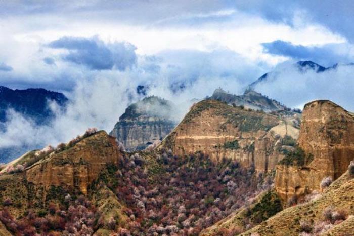 中华福寿山