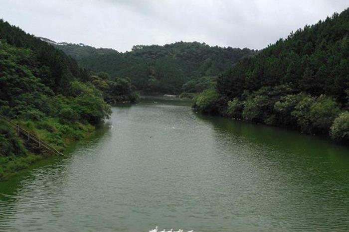 钦州绿芦山