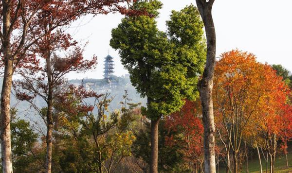 香山景区