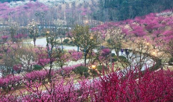 香山景区