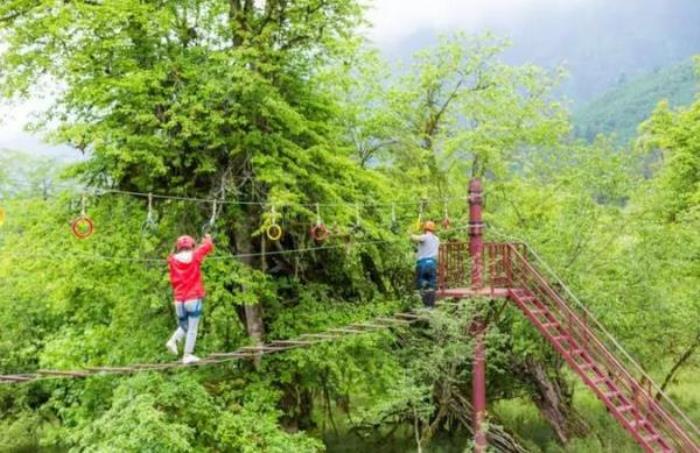 雅安二郎山喇叭河