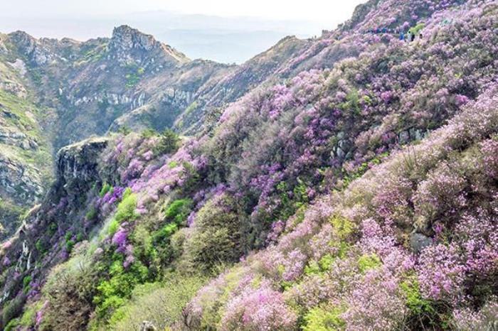 大黑山风景区