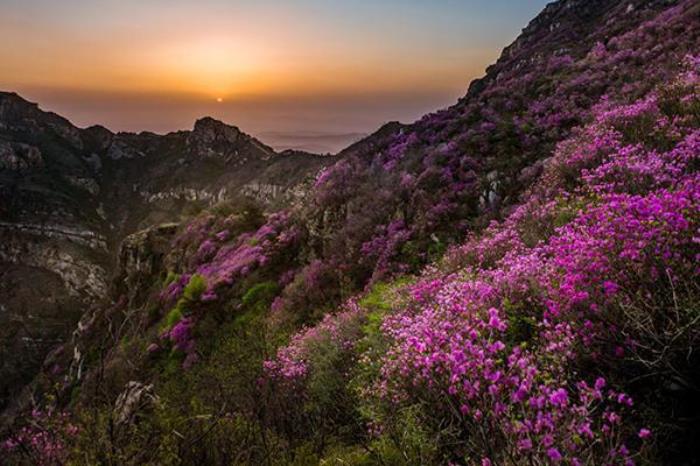 大黑山风景区