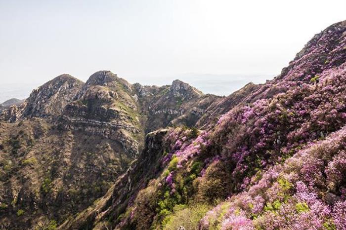 大黑山风景区