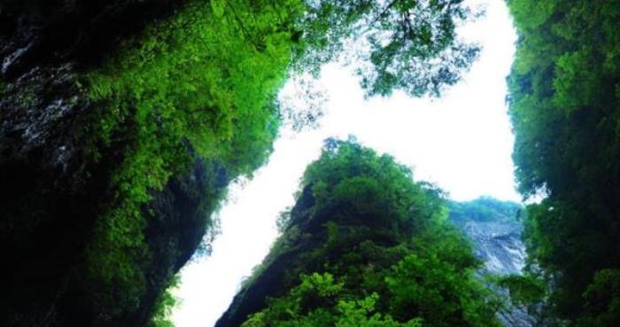 金丝峡景区