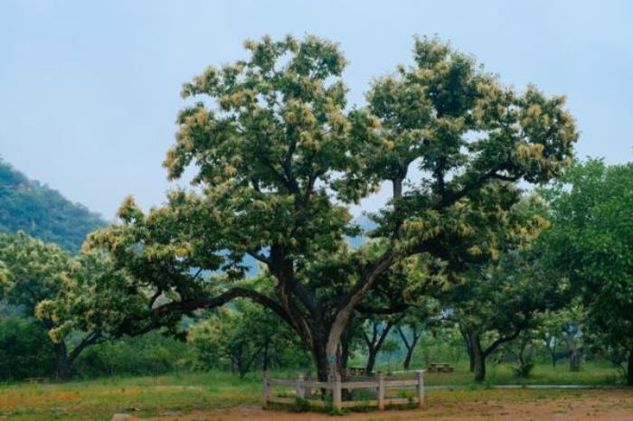 北京黄花城水长城