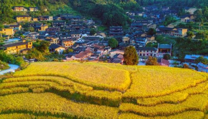 桂峰古村落景区