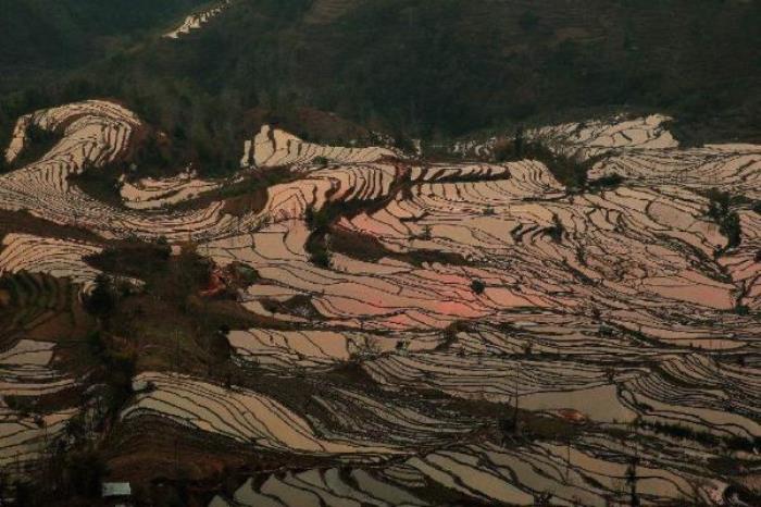 老虎嘴梯田景区