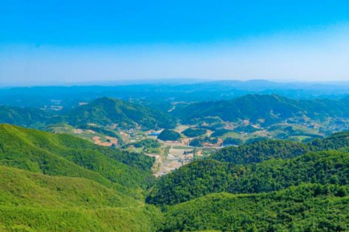 太阳坪映山红景区