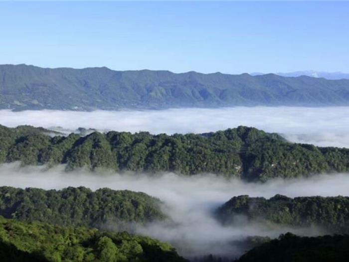 雅安蒙顶山